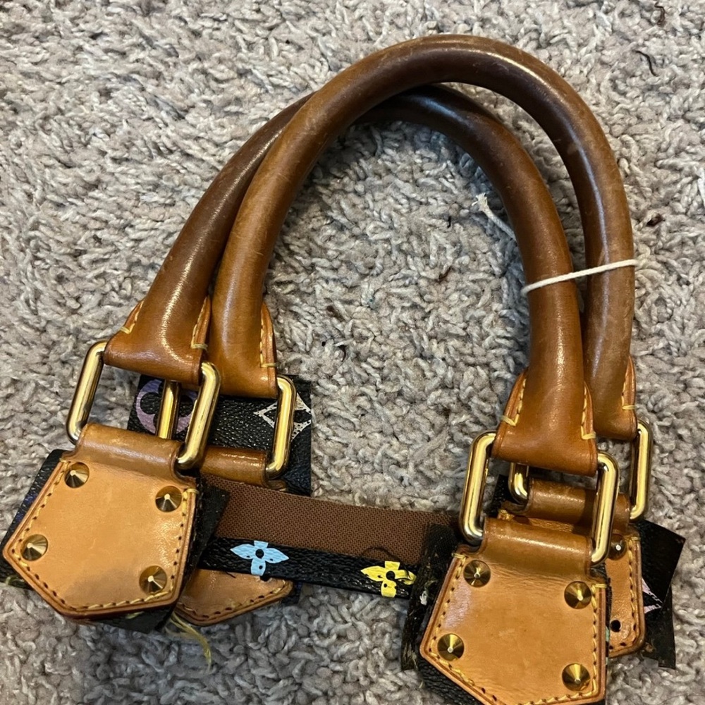Louis vuttion multi color speedy 30 or Alma Handles B19